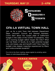 Virtual Town Hall Flyer