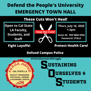 Emergency Town Hall Small Flyer-4